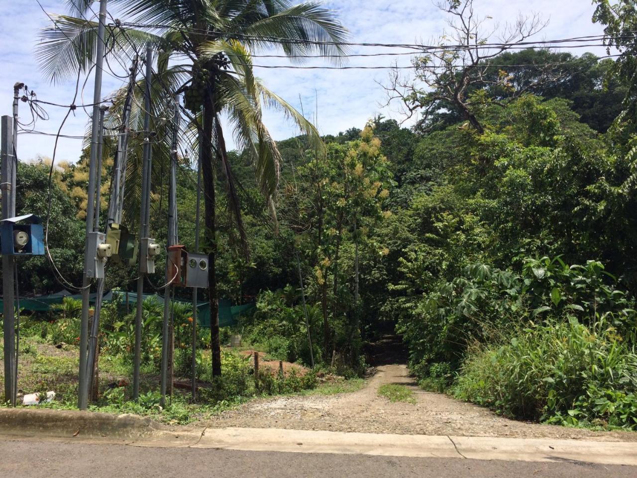 Casa Encantada Offers You Two-Bedroom House, 1 Tiny Apartment & 3 Double Rooms Manuel Antonio Exterior photo